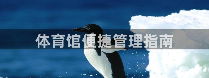 必一体育官方入口：体