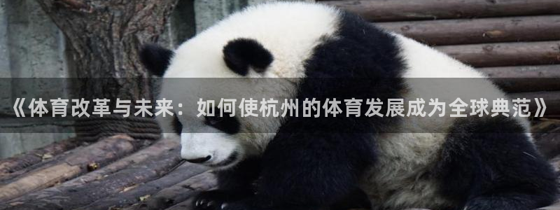 必一体育网页：《体育