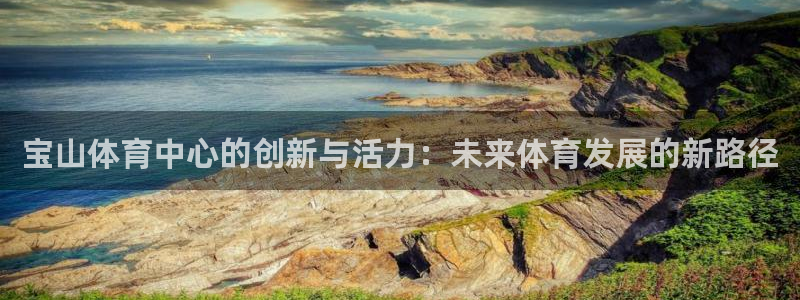 b体育必一下载：宝山