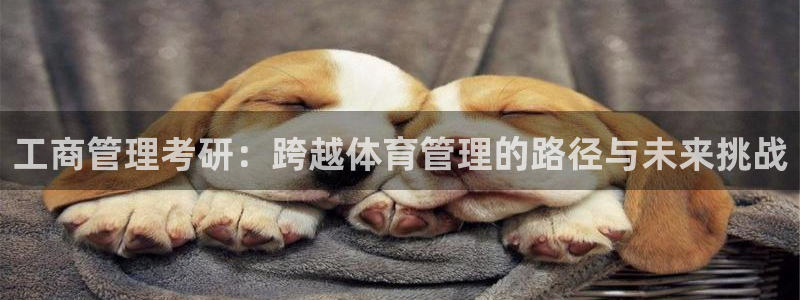 b体育必一下载：工商