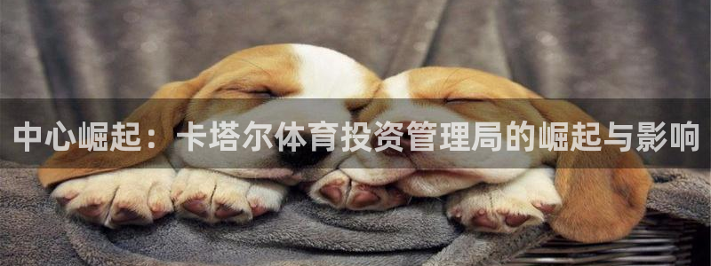 必一体育官网ios下