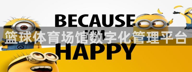 必一体育运动下载：篮