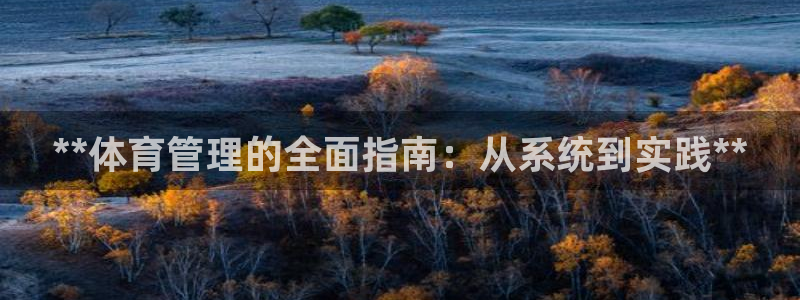 必一体育在线玩