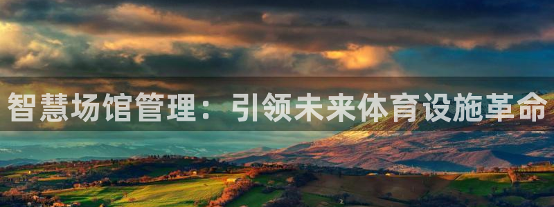 必一体育登录：智慧场