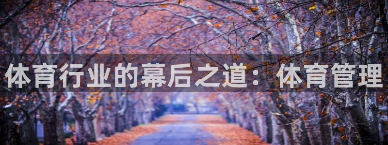 b体育必一运动网页版