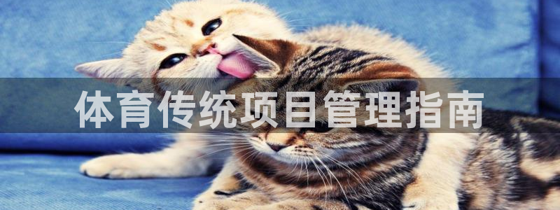 必一运动体育app